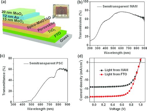 A Schematic Diagram And Photo Of Psc With Mam Transparent Electrode