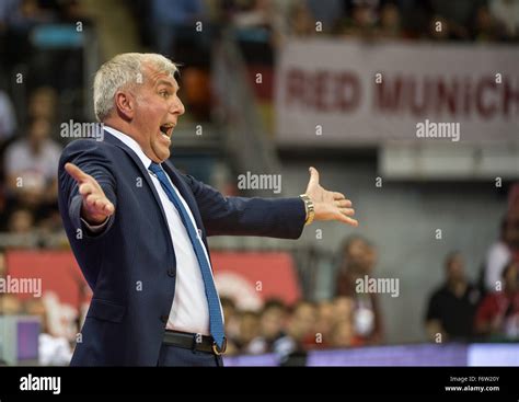 Zeljko Obradovic Hi Res Stock Photography And Images Alamy