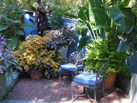 Tropical Garden Design - Tropical - Patio - other metro - by www ...