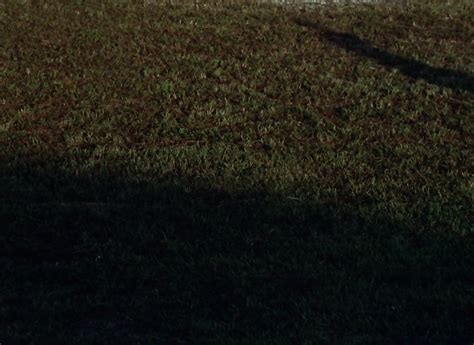 Nude On The Moon Doris Wishman 1961 Classic Adult