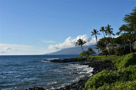 A Glimpse into the Private Life of Maui Through His Obituary 2