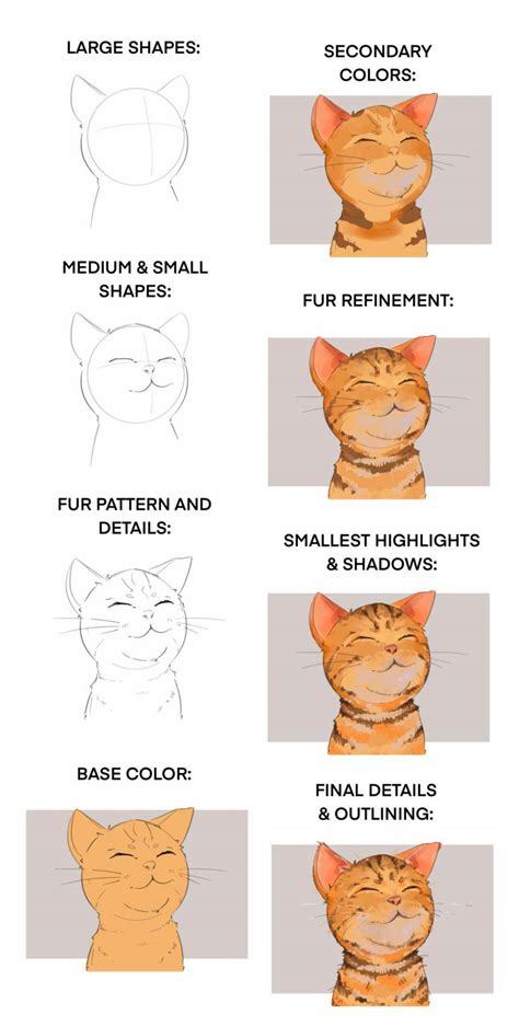 How To Draw A Cat - Infoupdate.org