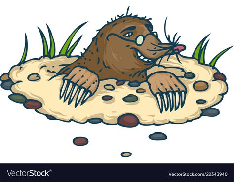 Mole with glasses Royalty Free Vector Image - VectorStock