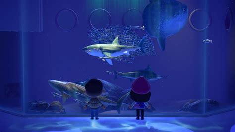 Animal Crossing Aquarium Butterfly Project Animal Crossing Cute Fish