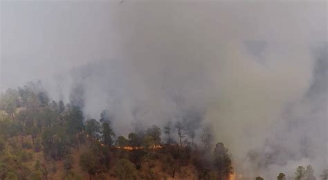 Durango Rompe Récord En Hectáreas Afectadas Por Incendios Forestales