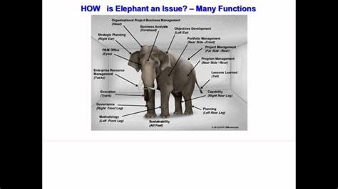 The Elephant In The Executive Suite Project Management And The Pmo