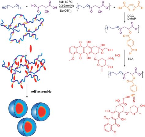 Scheme 1 Synthetic Routes Of Poegmdox Download Scientific Diagram