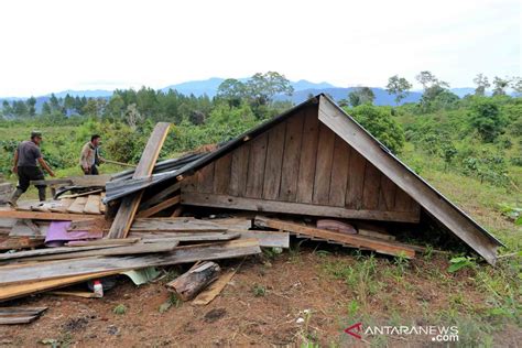 Kawanan Gajah Liar Merangsek Permukiman Warga Di Aceh Antara News