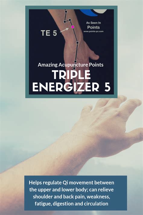 Acupuncture Point Triple Energizer 5 Te 5 Acupuncture Technology