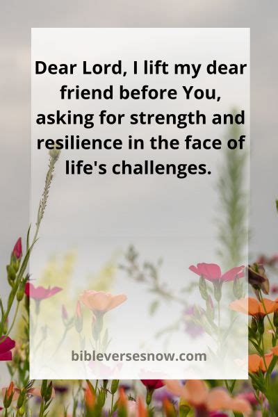 16 Powerful Prayer For A Good Friend – Bible Verses of the day