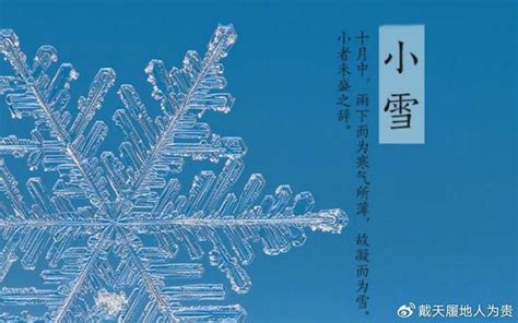 2023年小雪：生肖马11月24日 12日8日诸事勿靠别人！