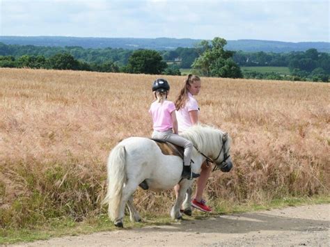 Summer holidays pony riding program, Shetland Pony Club, Surrey