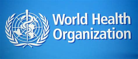 What Is The World Health Organization And How Does It Work