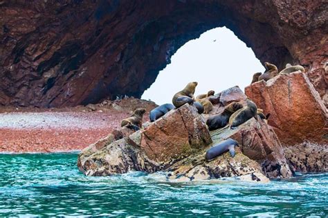 Entradas Y Tours Islas Ballestas Lima Viator