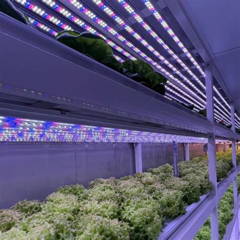 Automatic Controller Intelligent Farming Container Greenhouse