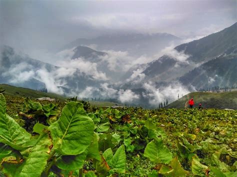 Kashmir Muzaffarabad Neelam Valley Taobat Tour