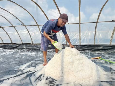 Produksi Kelompok Usaha Perhutanan Sosial Di Belitung Timur Ini