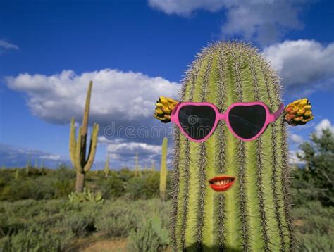 Saguaro Cactus With Sunglasses Stock Photo - Image of environment ...