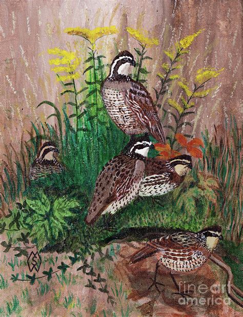 Covey Of Quail Painting By Matt Starr Fine Art America