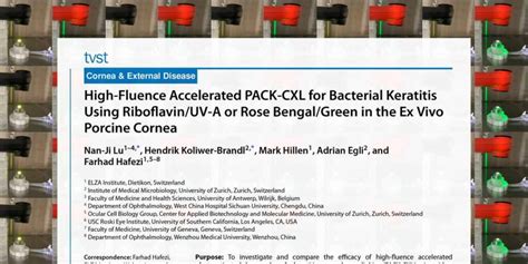 Advancements in Bacterial Keratitis Treatment: Evaluating High-Fluence ...