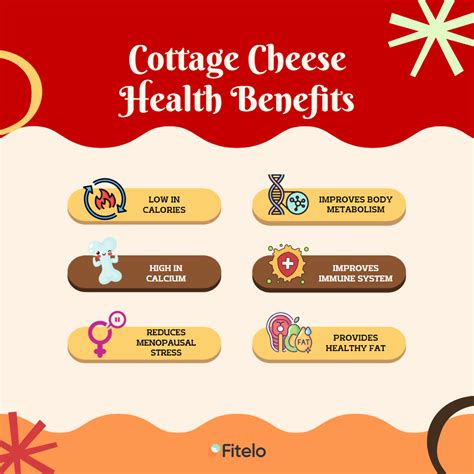 Cottage Cheese 6 Effective Health Benefits For Weight Loss