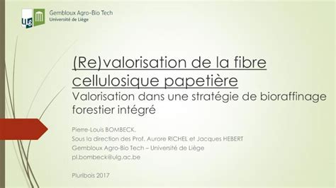 PDF Re valorisation de la fibre cellulosique papetière Cellulose