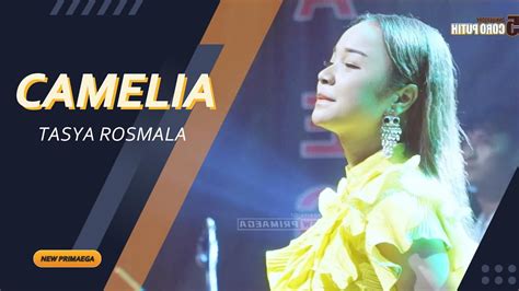 CAMELIA TASYA ROSMALA NEW PRIMAEGA CORO PUTIH DK KALENPANDAN