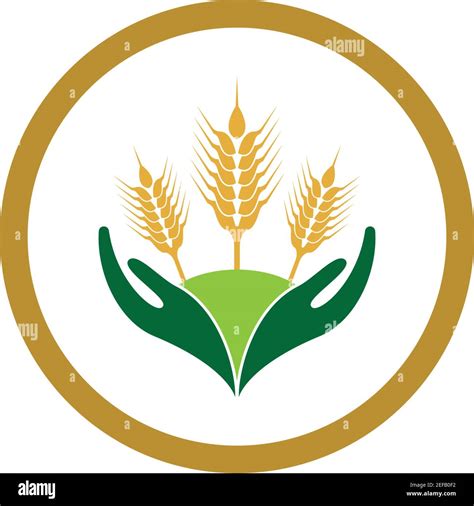 Agriculture Wheat Logo Template Vector Icon Design Stock Vector Image