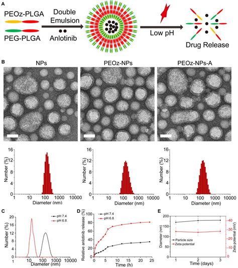 Frontiers Tumor Acidity Responsive Polymeric Nanoparticles For