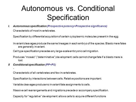 Introduction To Pattern Formation Autonomous Conditional Cell