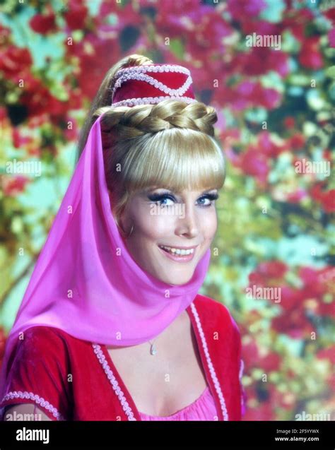 Barbara Eden I Dream Of Jeannie Stock Photo Alamy Hot Sex Picture