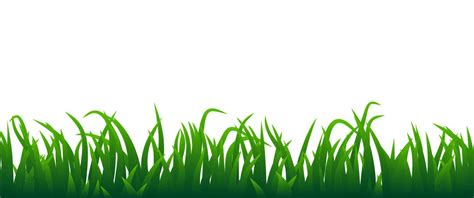 Green Grass Vector On White Background 24200956 Vector Art At Vecteezy