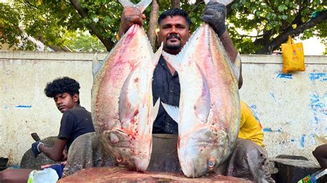 Kasimedu Fast Selvam Big Trevally Fish Cutting In Kasimedu Hd