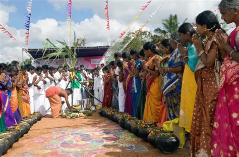 Pongal Festival In Tamil Pongal Kolam Is A Festival So Uniquely Tamil