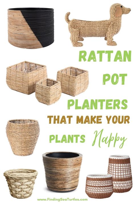 Best Rattan Pot Planters With Boho Style