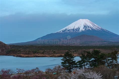 Mount Fuji or Mt. Fuji, the World Heritage, View in Lake Shoji ...