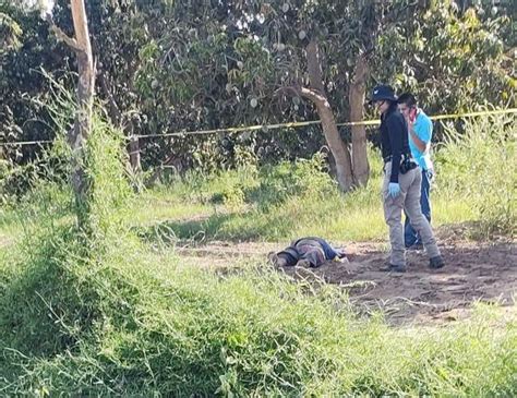 Encuentran Muerto A Un Hombre En Una Huerta De Mangos En El Porvenir