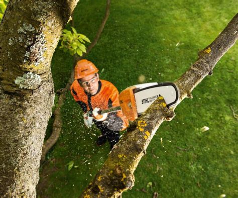 STIHL HTA 65 Cordless Pole Pruner ABA Groundcare