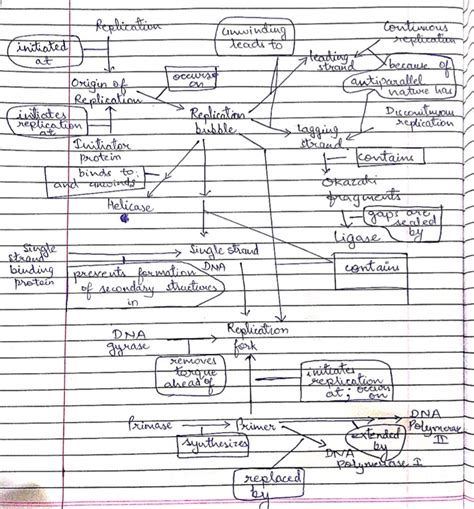 Solved Match The Relationships To The Best Corresponding Chegg