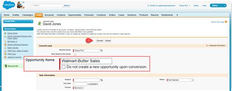 How To Convert Lead To Opportunity In Salesforce Salesforce Faqs