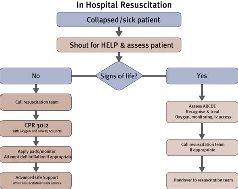 European Resuscitation Council Guidelines For Resuscitation 2010