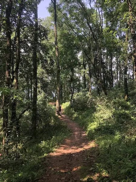 Day Hike In Pokhara Peace Pagoda And Shiva Statue Pumdikot