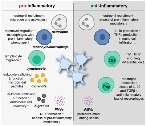 Cells Free Full Text Platelets At The Crossroads Of Pro