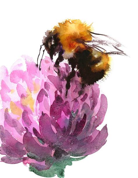 Bumblebee Watercolor Illustration Hand Drawn Stock Illustration