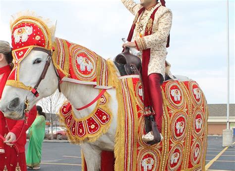 Baraat Horse | Toronto | Fairytale Horse and Carriage Service