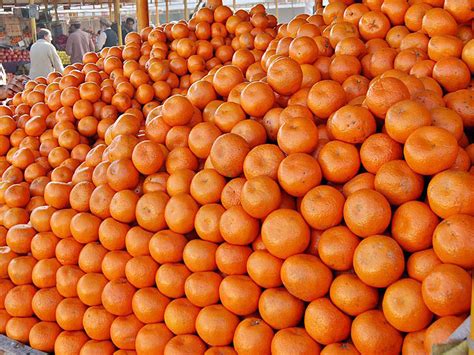 Pfva Urges Government To Help In Fruit Exports To Iran Pakistan