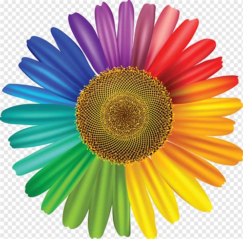 Raster Realistic Colorful Flower Isolated Png PNGWing