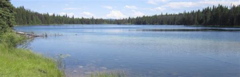 Moose Lake | Camping & RVing BC