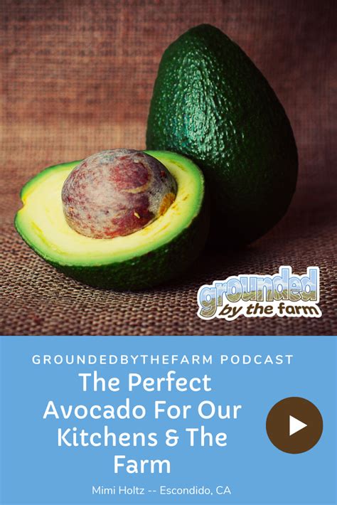 Getting the Perfect Avocado For Our Kitchens & The Farm - Grounded by the Farm