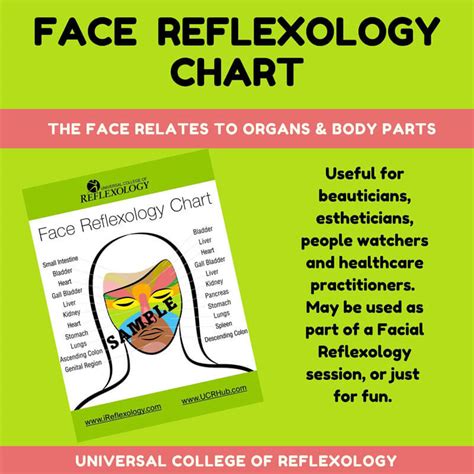 Scalp Reflexology Chart